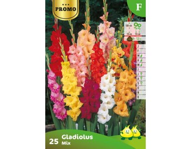 Bloembol Promopack Gladiool Mix 25st - foto 1